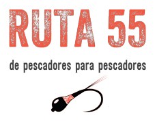 Ruta 55