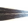 Medium Bugs Legs - Black