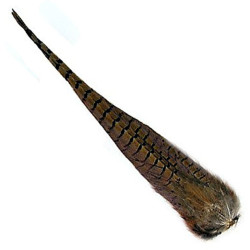 Plumas de Faisán Cola Completa