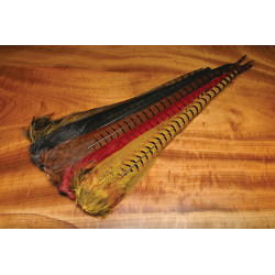 Plumas de Faisán Cola Completa