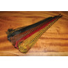 Plumas de Faisán Cola Completa