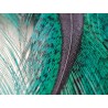 Plumas Gallo de León Colores (4 un)