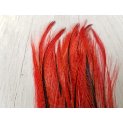 Plumas Gallo de León Rojos (3un)